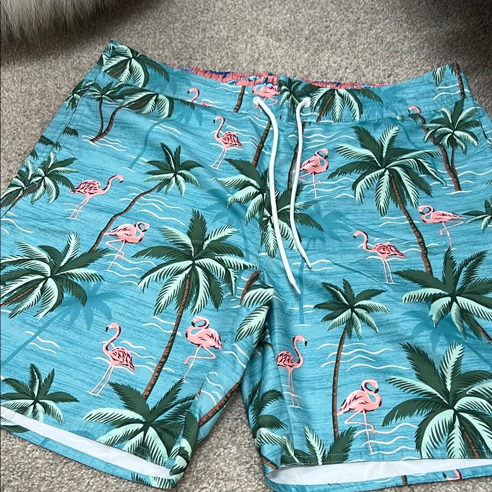 Tropical Flamingo Swim Shorts